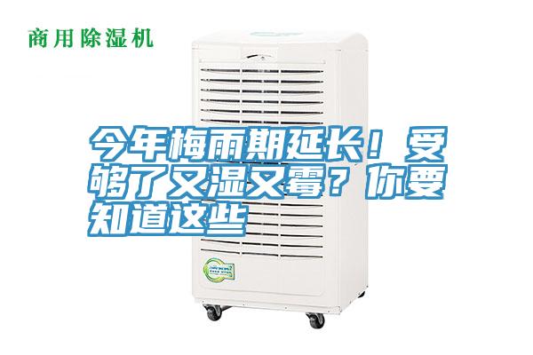 今年梅雨期延長(zhǎng)!受夠了又濕又霉?你要知道這些