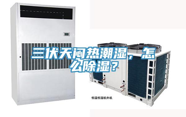 三伏天悶熱潮濕，怎么除濕？