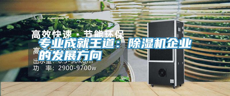 專業成就王道：除濕機企業的發展方向