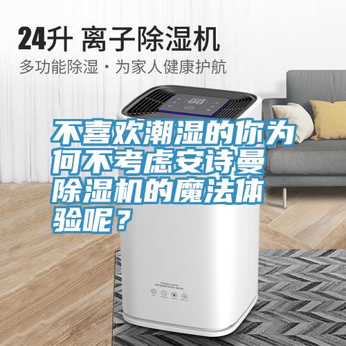 不喜歡潮濕的你為何不考慮安詩曼除濕機的魔法體驗呢?