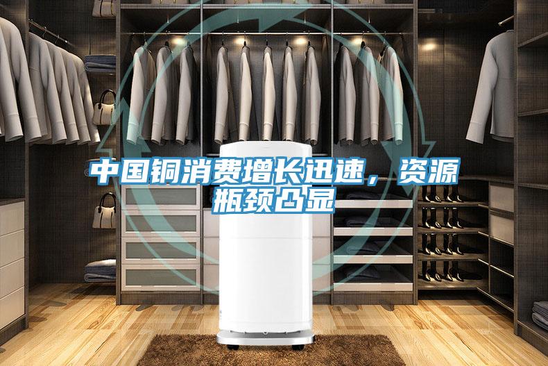 中國銅消費增長迅速，資源瓶頸凸顯