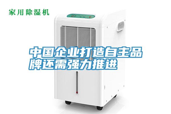 中國企業打造自主品牌還需強力推進