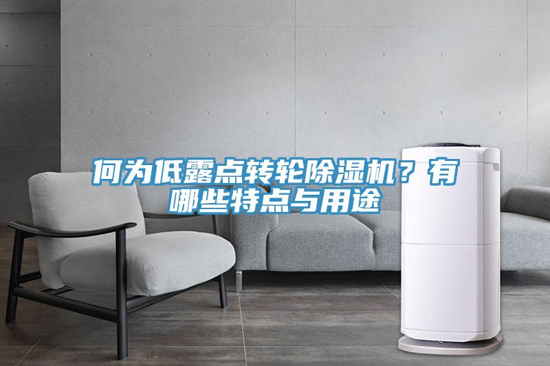 何為低露點轉輪除濕機?有哪些特點與用途