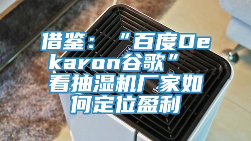 借鑒:“百度Dekaron谷歌” 看抽濕機(jī)廠家如何定位盈利