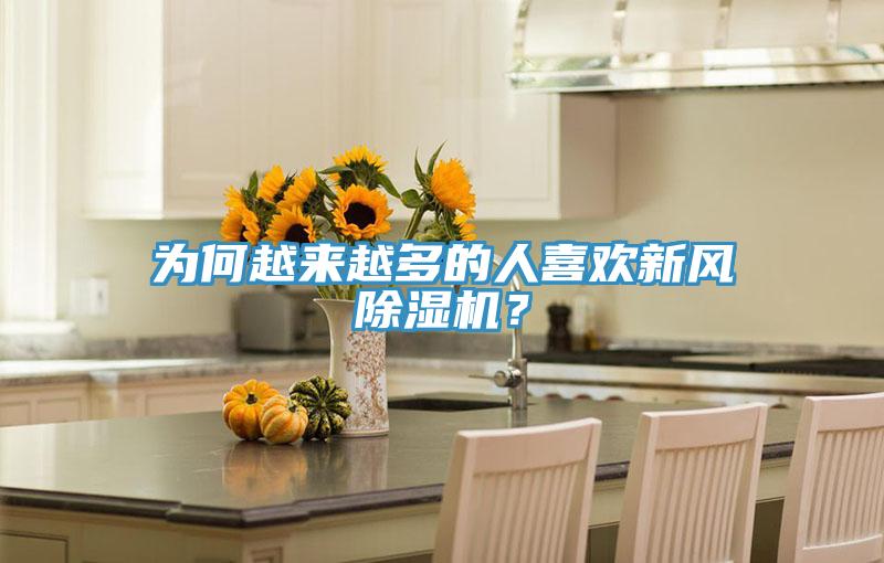 為何越來越多的人喜歡新風除濕機?