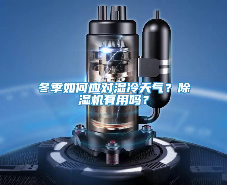 冬季如何應對濕冷天氣?除濕機有用嗎?