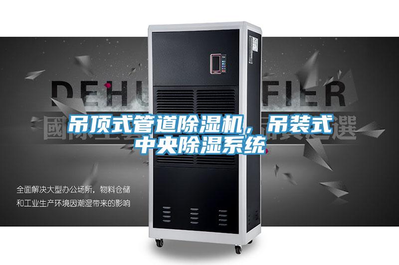 吊頂式管道除濕機(jī)，吊裝式中央除濕系統(tǒng)