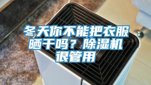 冬天你不能把衣服曬干嗎?除濕機很管用