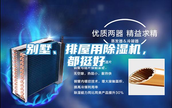 別墅、排屋用除濕機，都挺好