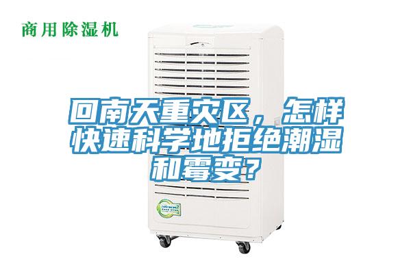 回南天重災區,怎樣快速科學地拒絕潮濕和霉變?