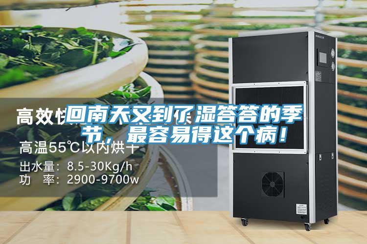 回南天又到了濕答答的季節(jié),最容易得這個(gè)病!