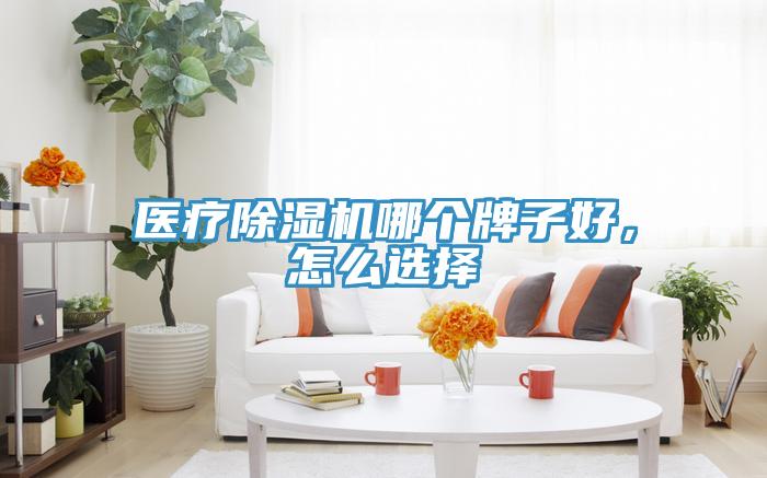 醫療除濕機哪個牌子好,怎么選擇
