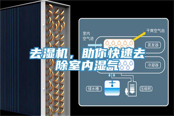 去濕機,助你快速去除室內濕氣