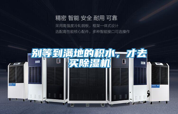 別等到滿地的積水,才去買除濕機