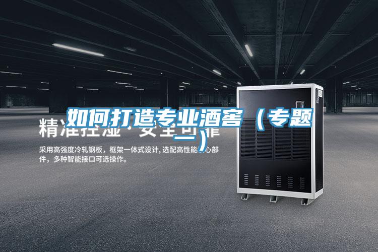 如何打造專業酒窖(專題一)