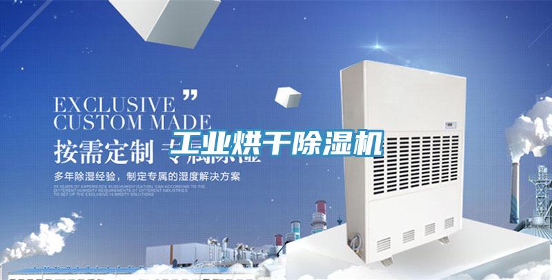 工業(yè)烘干除濕機