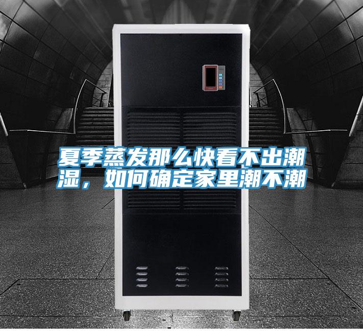 夏季蒸發那么快看不出潮濕,如何確定家里潮不潮