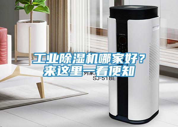 工業除濕機哪家好?來這里一看便知