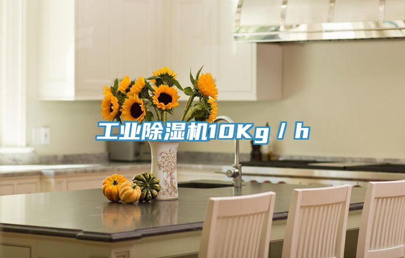 工業(yè)除濕機(jī)10Kg/h