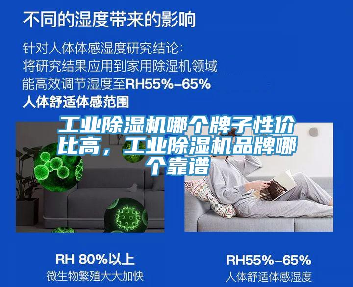 工業(yè)除濕機(jī)哪個牌子性價(jià)比高，工業(yè)除濕機(jī)品牌哪個靠譜