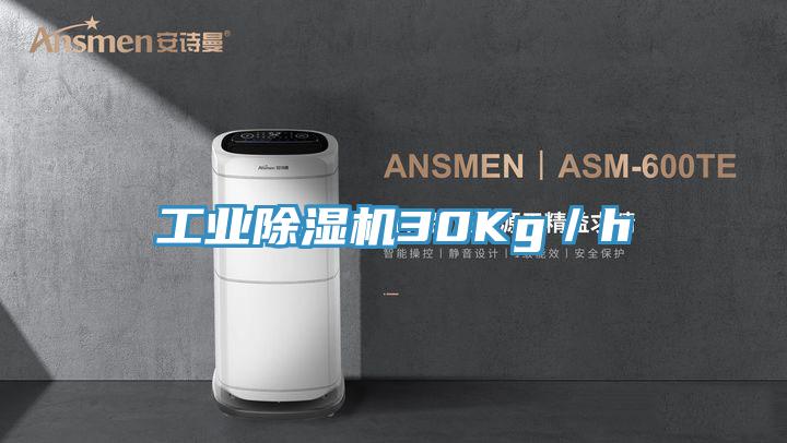 工業(yè)除濕機(jī)30Kg/h