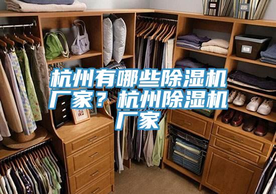 杭州有哪些除濕機廠家？杭州除濕機廠家