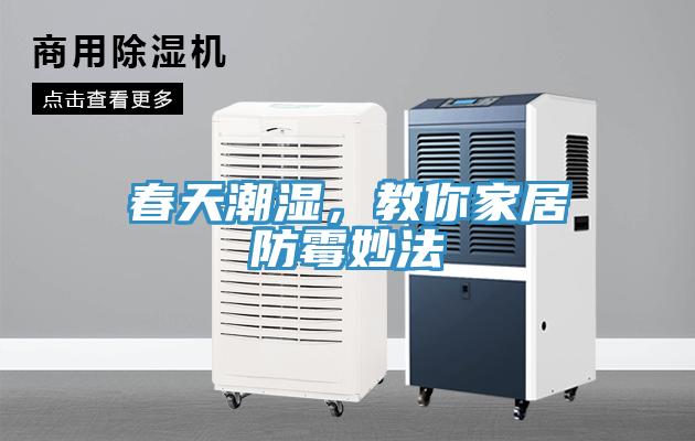 春天潮濕，教你家居防霉妙法
