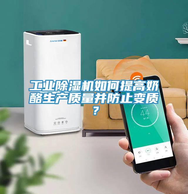 工業除濕機如何提高奶酪生產質量并防止變質?