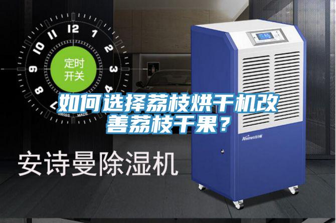 如何選擇荔枝烘干機改善荔枝干果？