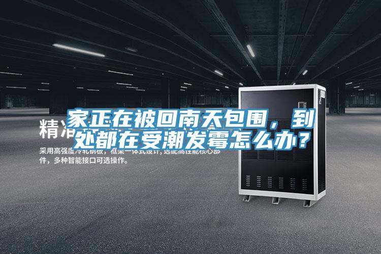 家正在被回南天包圍，到處都在受潮發(fā)霉怎么辦？