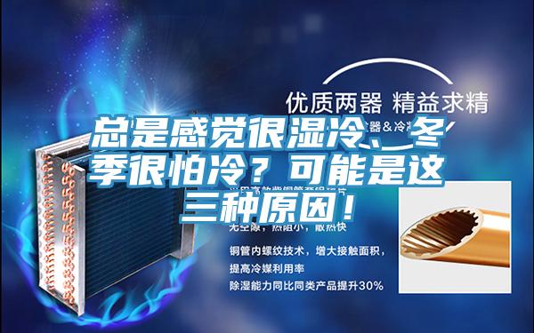 總是感覺很濕冷、冬季很怕冷？可能是這三種原因！