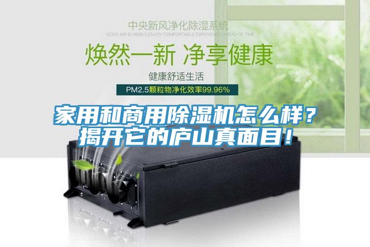 家用和商用除濕機(jī)怎么樣？揭開它的廬山真面目！