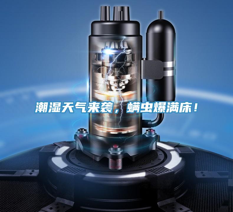 潮濕天氣來襲，螨蟲爆滿床！