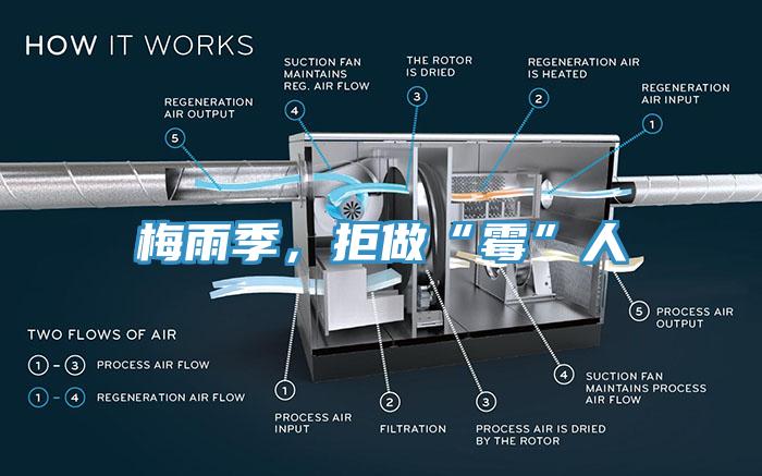 梅雨季，拒做“霉”人