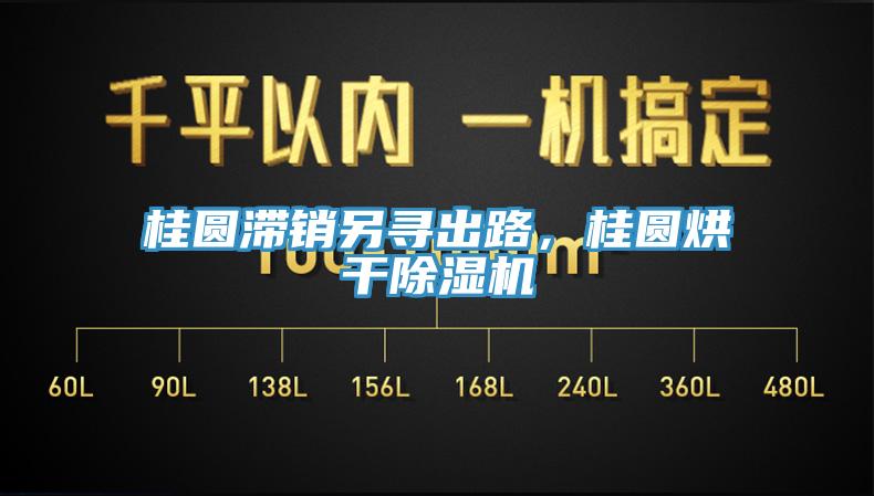 桂圓滯銷另尋出路，桂圓烘干除濕機