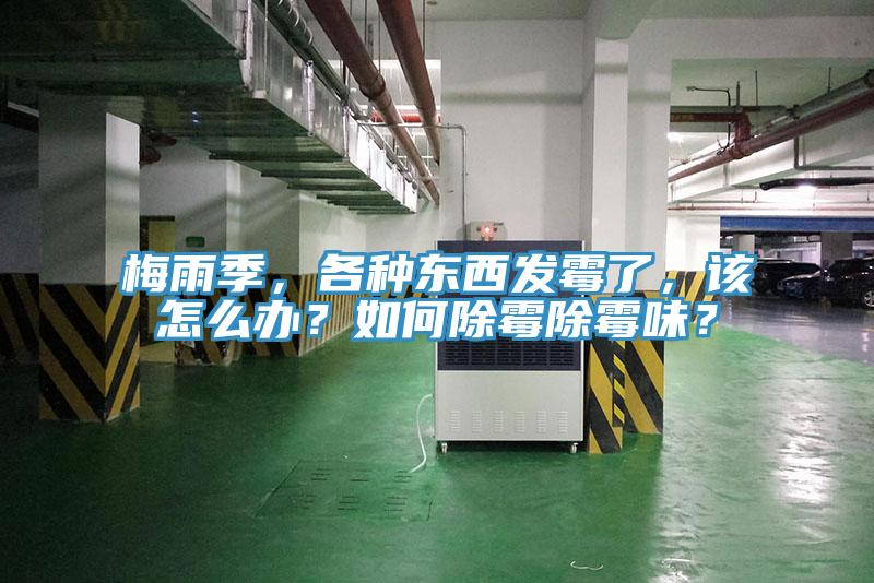 梅雨季，各種東西發霉了，該怎么辦？如何除霉除霉味？