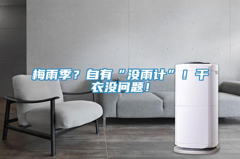 梅雨季?自有“沒雨計(jì)”!干衣沒問題!