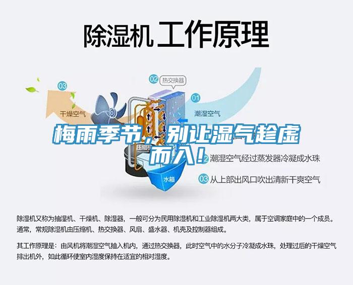 梅雨季節，別讓濕氣趁虛而入！