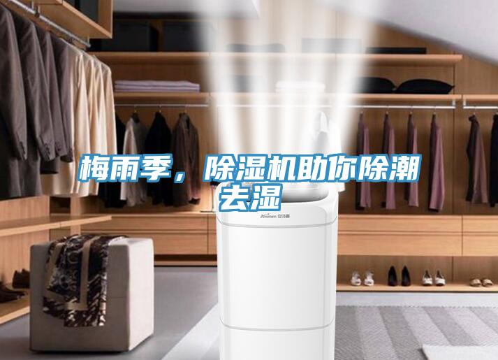 梅雨季，除濕機(jī)助你除潮去濕