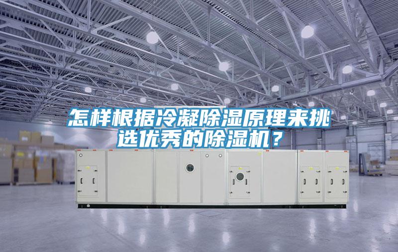 怎樣根據(jù)冷凝除濕原理來(lái)挑選優(yōu)秀的除濕機(jī)？