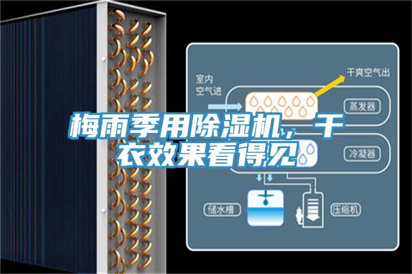 梅雨季用除濕機,干衣效果看得見