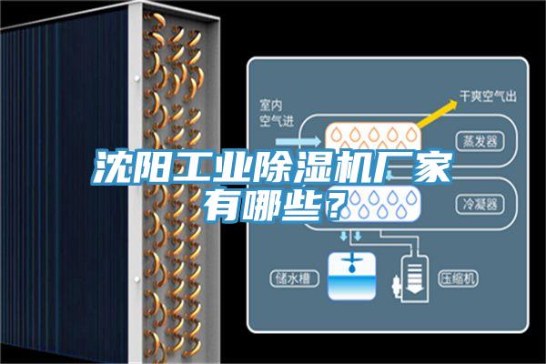 沈陽工業(yè)除濕機廠家有哪些？
