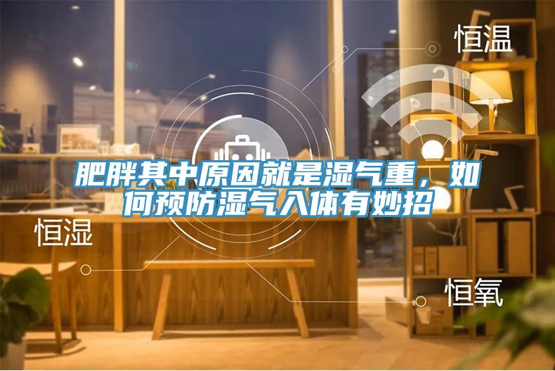 肥胖其中原因就是濕氣重，如何預防濕氣入體有妙招