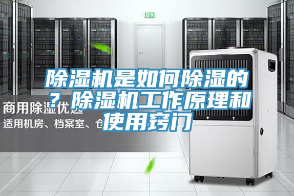 除濕機(jī)是如何除濕的？除濕機(jī)工作原理和使用竅門