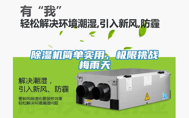 除濕機簡單實用，極限挑戰梅雨天