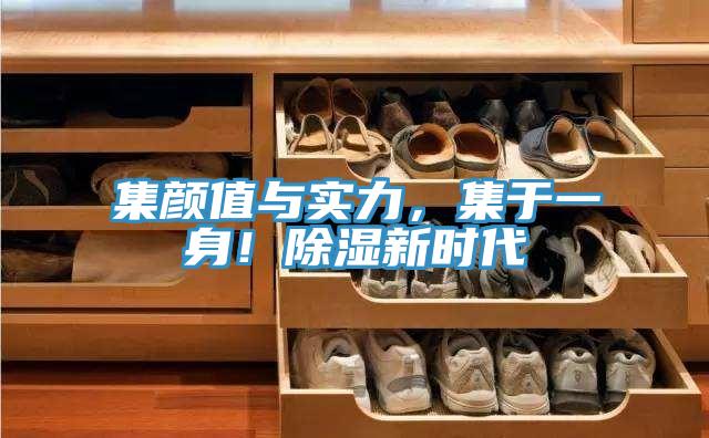 集顏值與實(shí)力，集于一身！除濕新時(shí)代