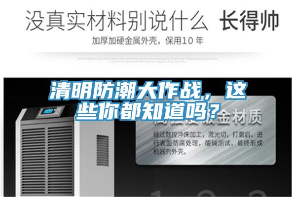 清明防潮大作戰，這些你都知道嗎？