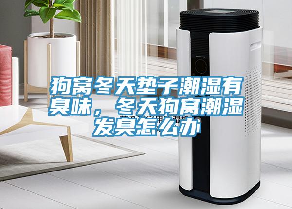 狗窩冬天墊子潮濕有臭味，冬天狗窩潮濕發臭怎么辦