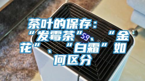 茶葉的保存：“發霉茶”、“金花”、“白霜”如何區分