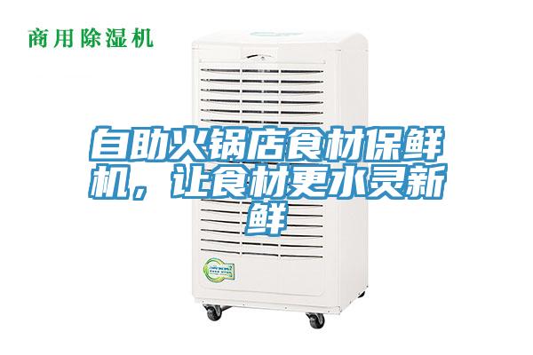 自助火鍋店食材保鮮機，讓食材更水靈新鮮